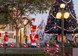 Magic Kingdom and EPCOT Passholder Reservations Full for Veterans Day