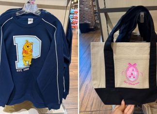 New Disney World Canvas Tote Bags & Winnie the Pooh Letterman Sweatshirts