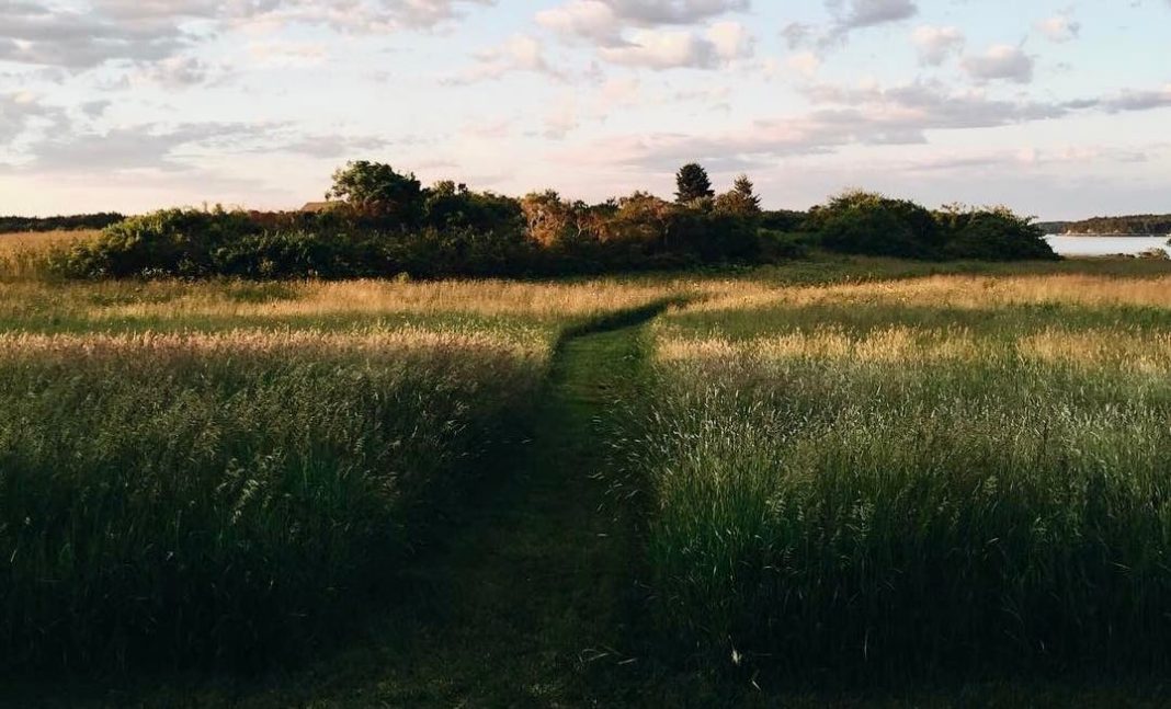 Have a Lovely (Long) Weekend. Have a Lovely (Long) Weekend.