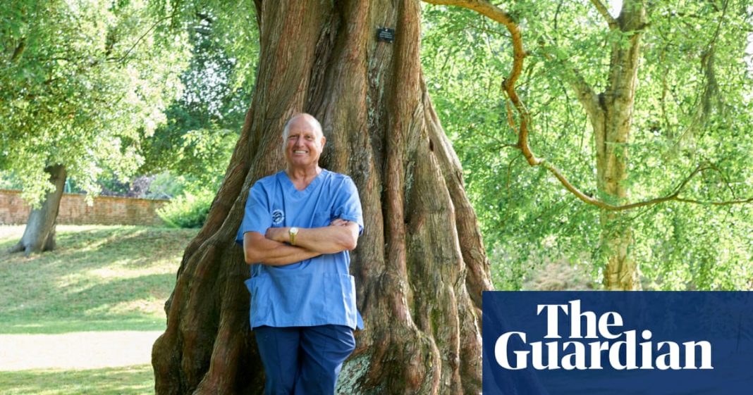 Experience: I brought a bear back to life | Life and style Experience: I brought a bear back to life | Life and style
