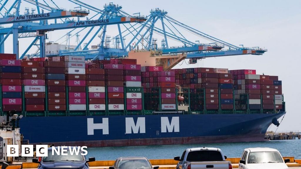 US states sue to block Trump tariffs impacting dozens of countries – BBC US states sue to block Trump tariffs impacting dozens of countries – BBC