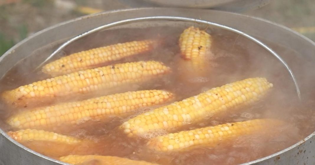 BBQ on the River foods go beyond the brisket | Bbq On The River BBQ on the River foods go beyond the brisket | Bbq On The River